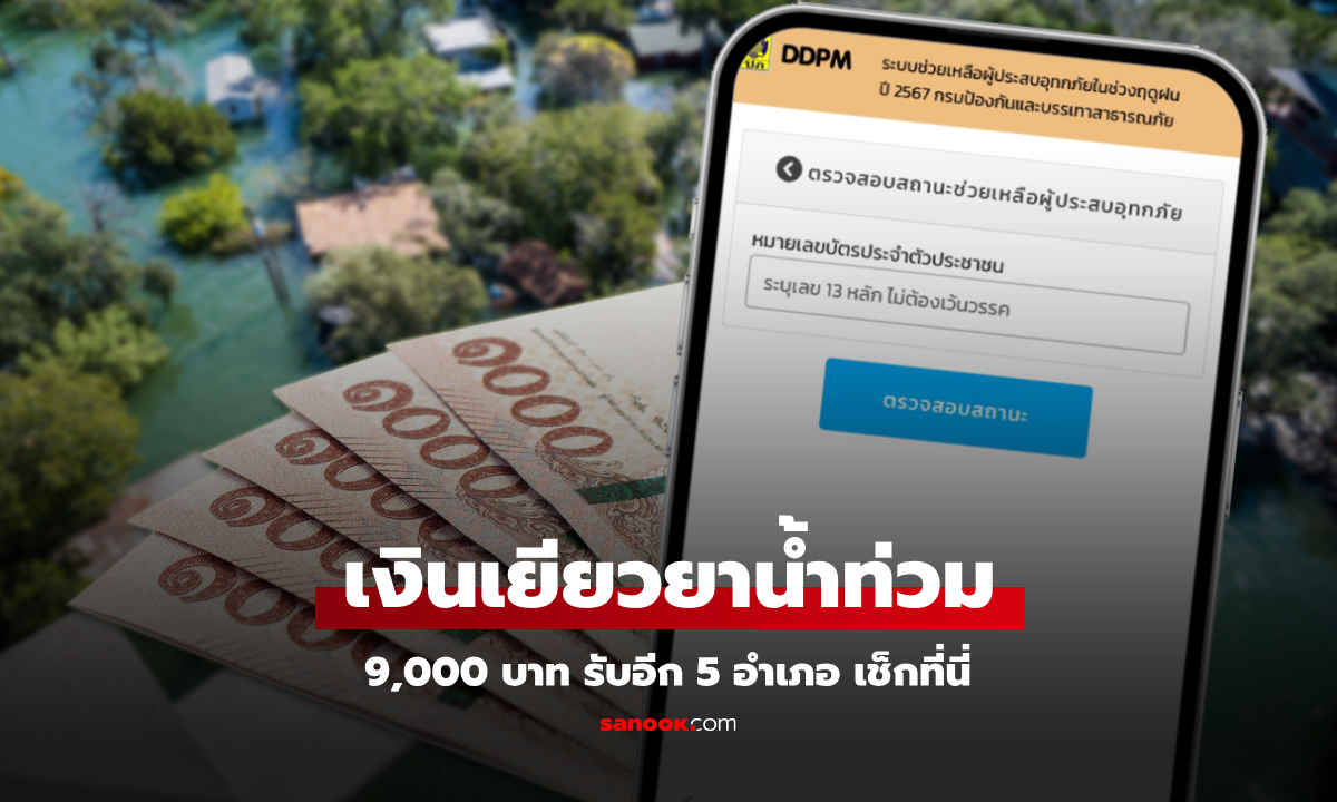 ddpm ตรวจสอบสถานะ 2567
